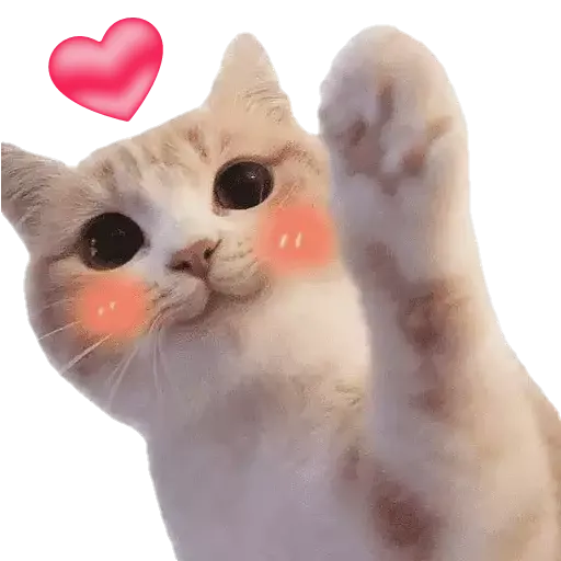 inCats logo